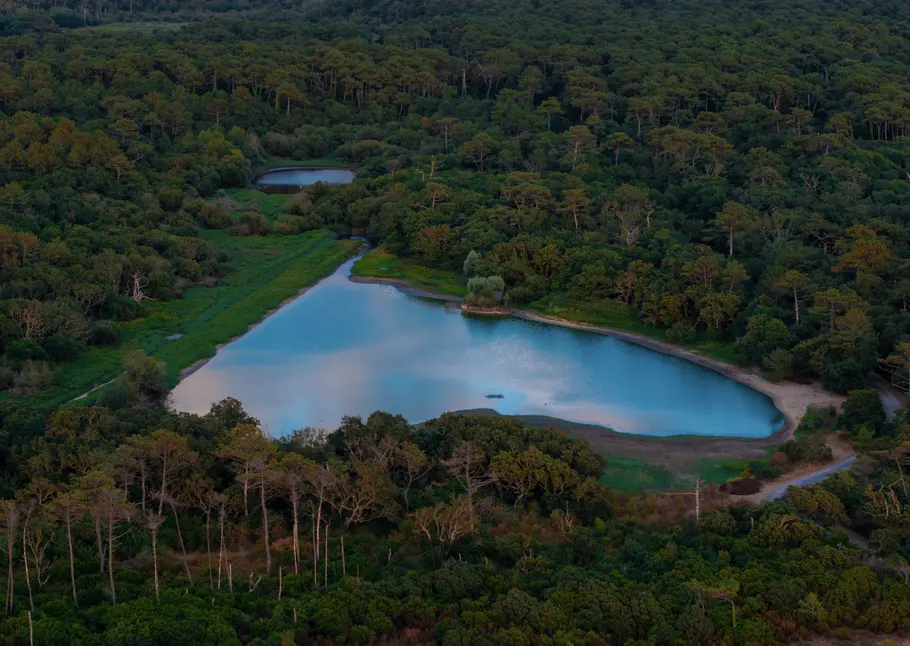 Dronebeeld: Bosmeer